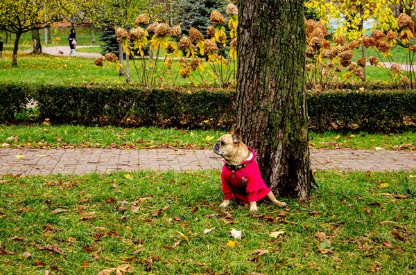 Vécu quotidien des seniors avec le diabète